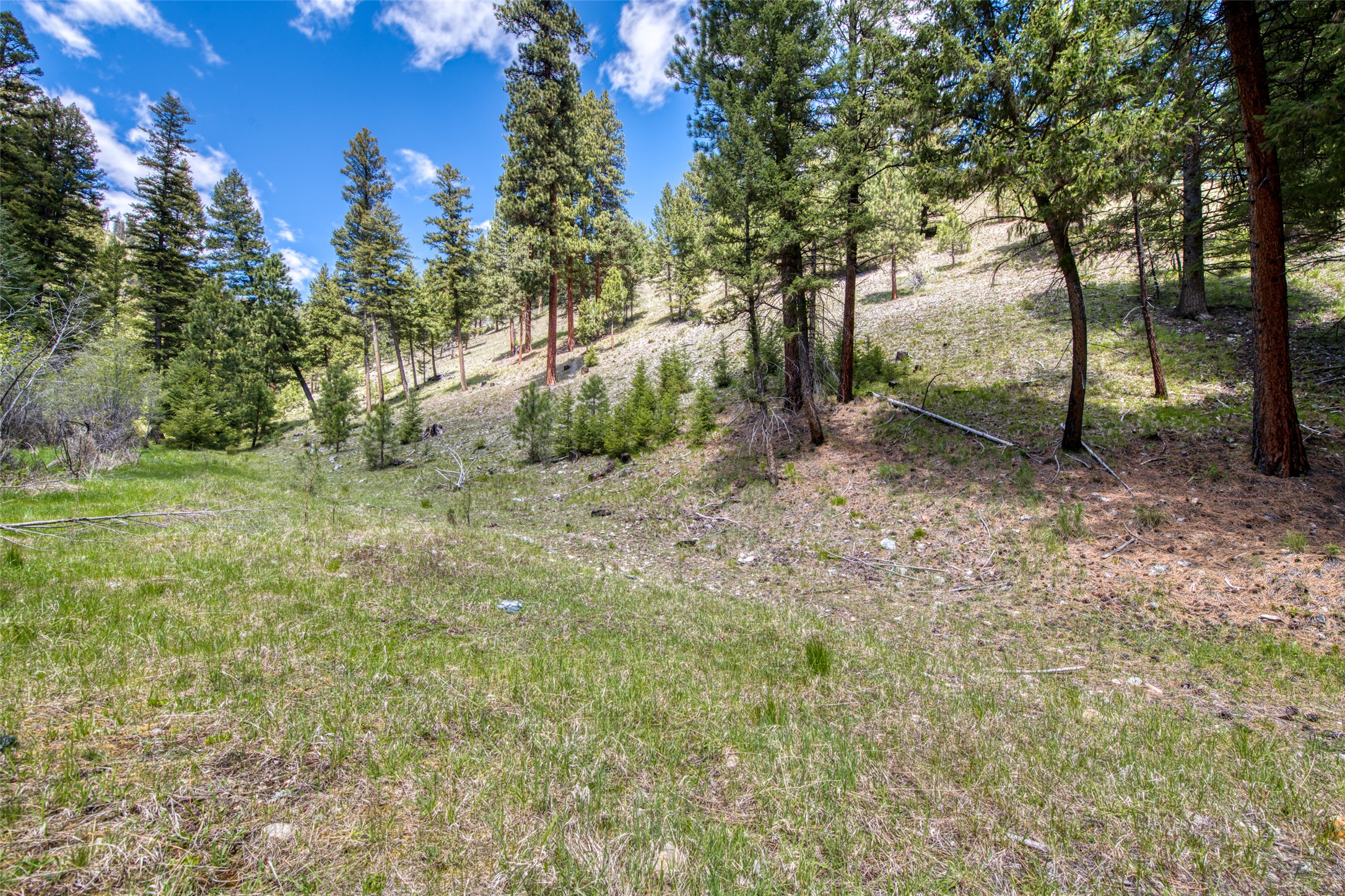 77 Alta Meadow Trail Property Photo 46