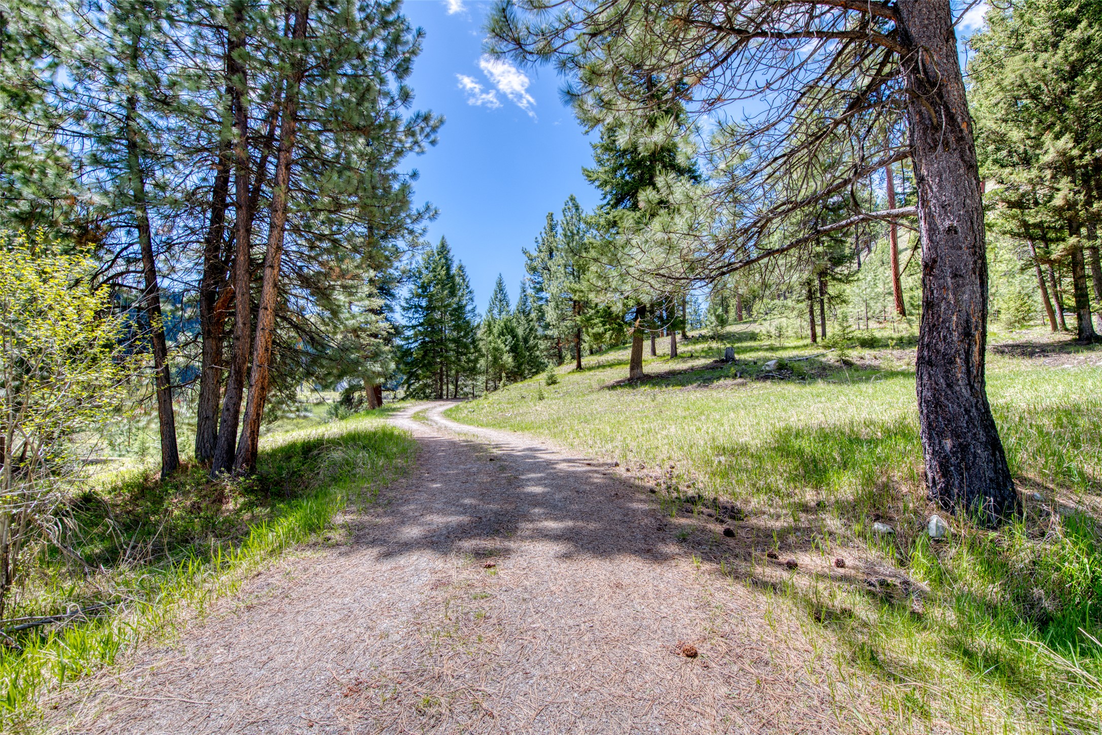 77 Alta Meadow Trail Property Photo 47