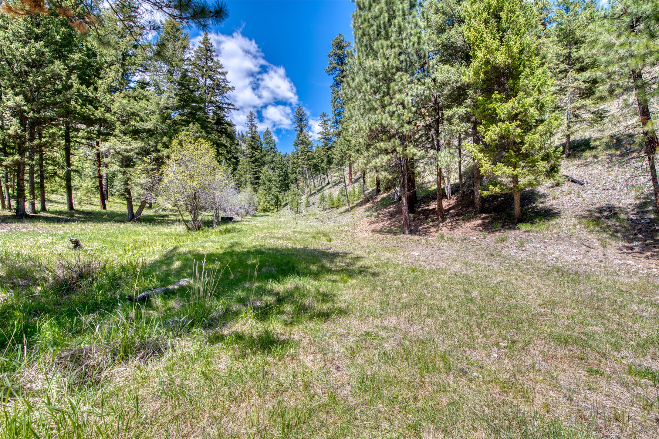 77 Alta Meadow Trail Property Photo 48