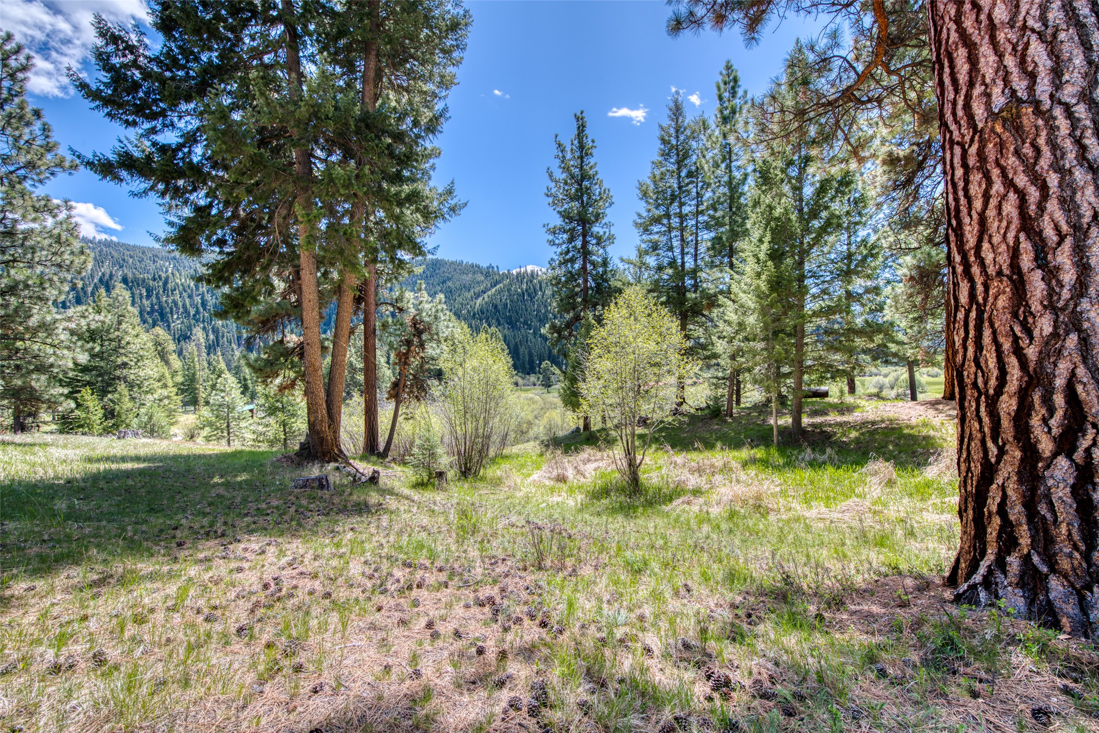 77 Alta Meadow Trail Property Photo 49