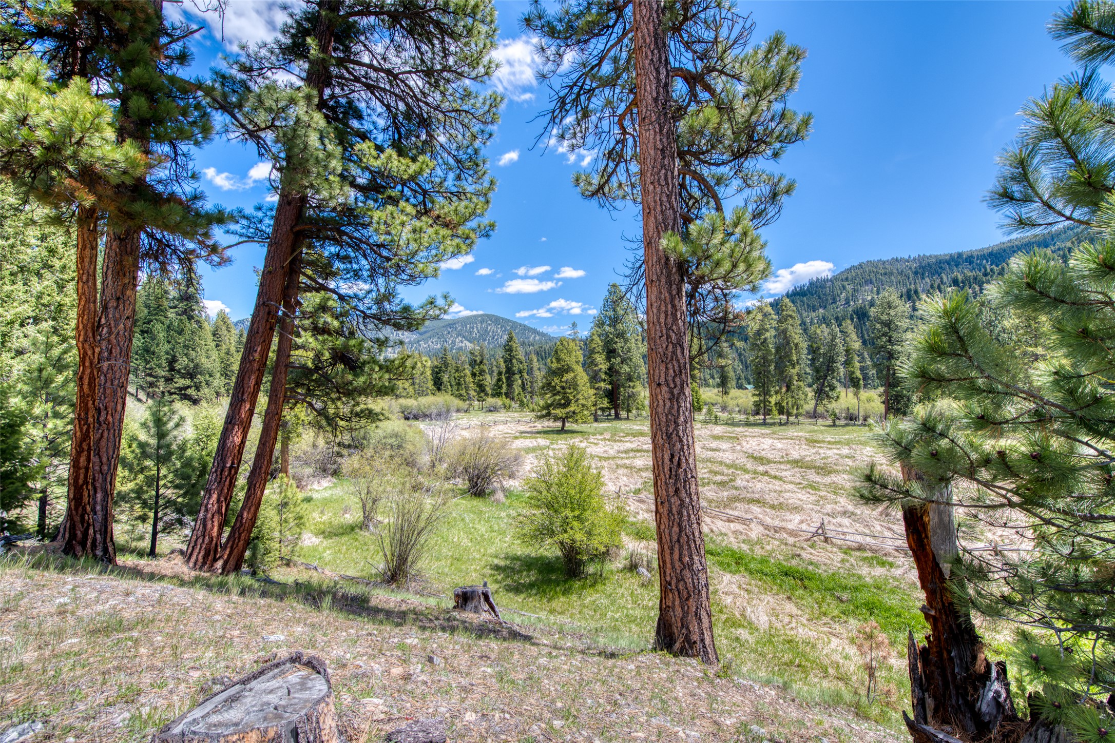 77 Alta Meadow Trail Property Photo 50