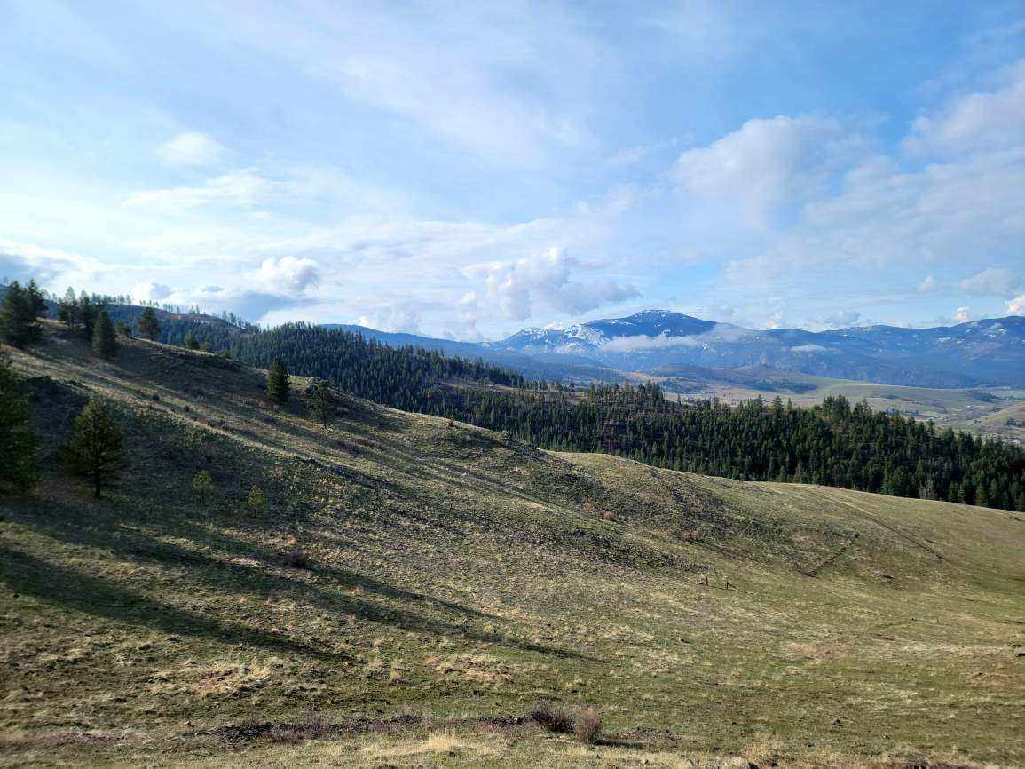 Lot 5 Diamond S Ranch Property Photo 8