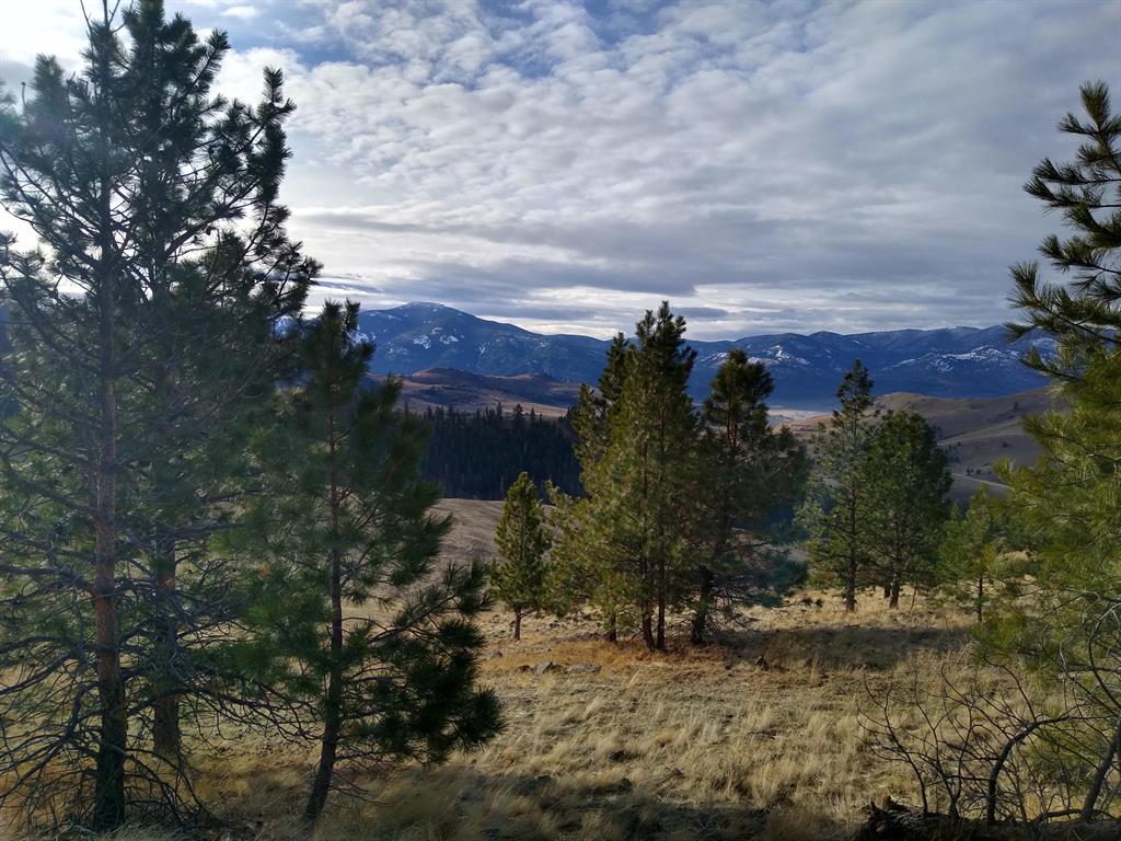 Lot 5 Diamond S Ranch Property Photo 9