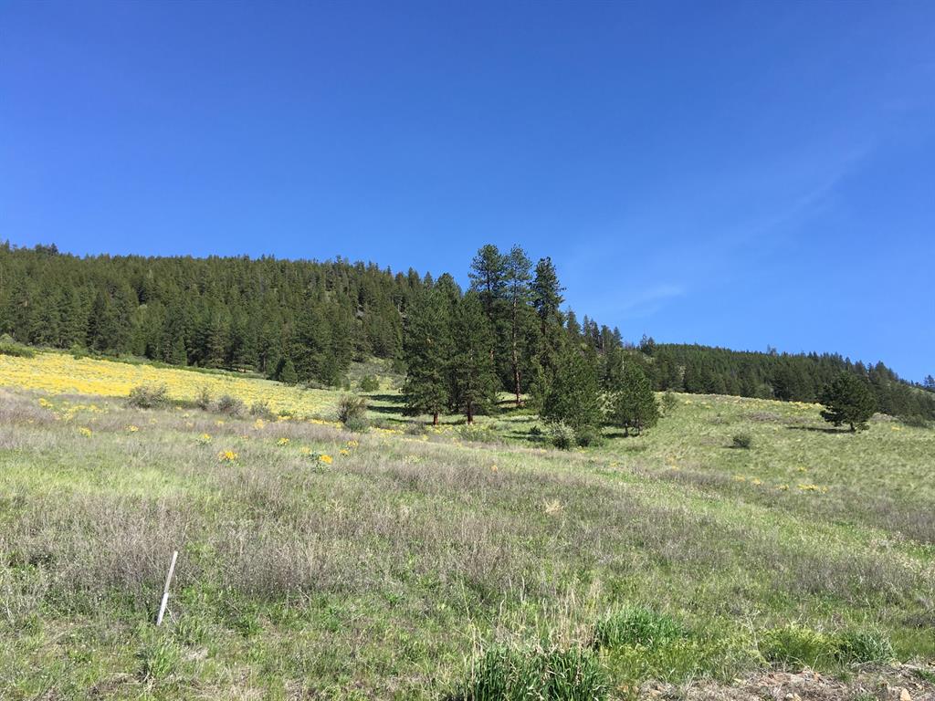 Lot 5 Diamond S Ranch Property Photo 10