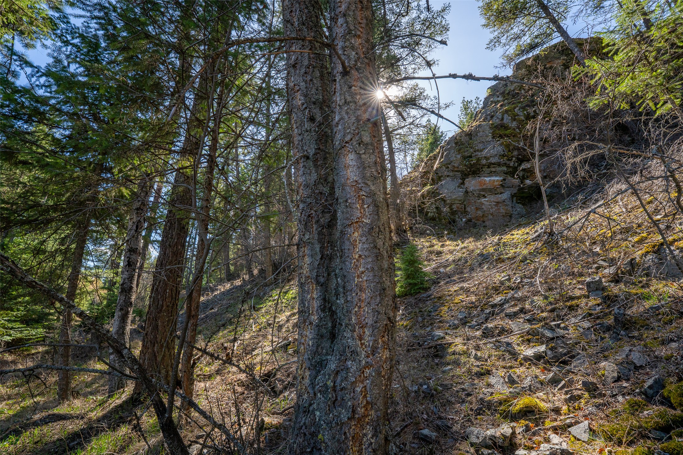 1760 Browns Meadow Road Property Photo 58