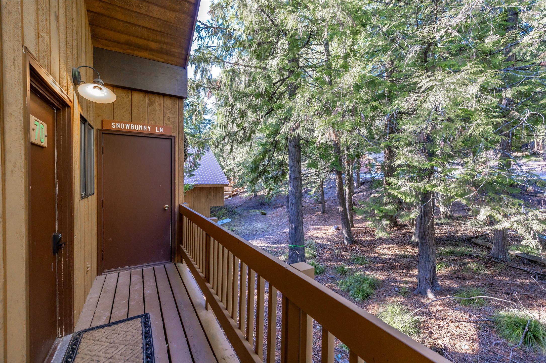 70 Limber Pine Property Photo 4