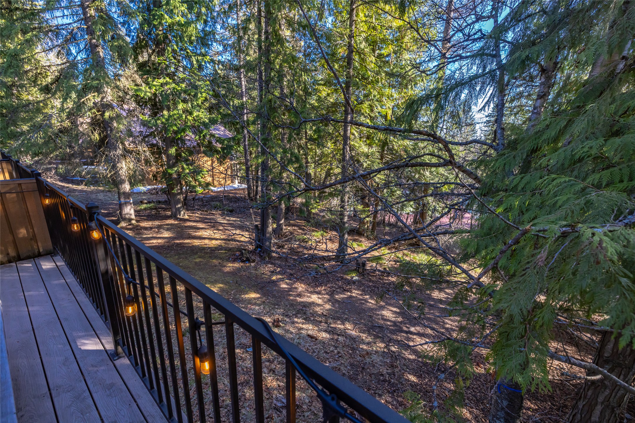 70 Limber Pine Property Photo 17