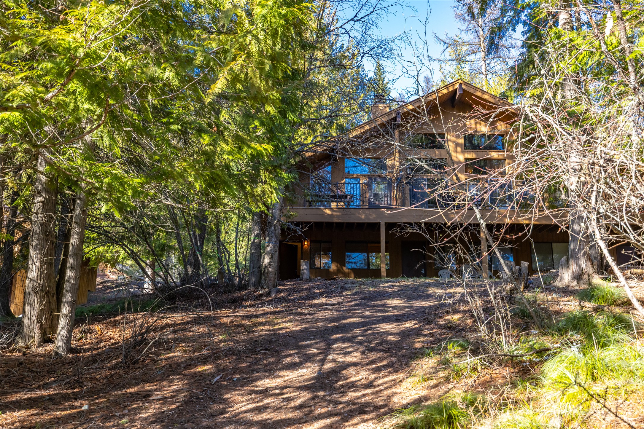 70 Limber Pine Property Photo 26