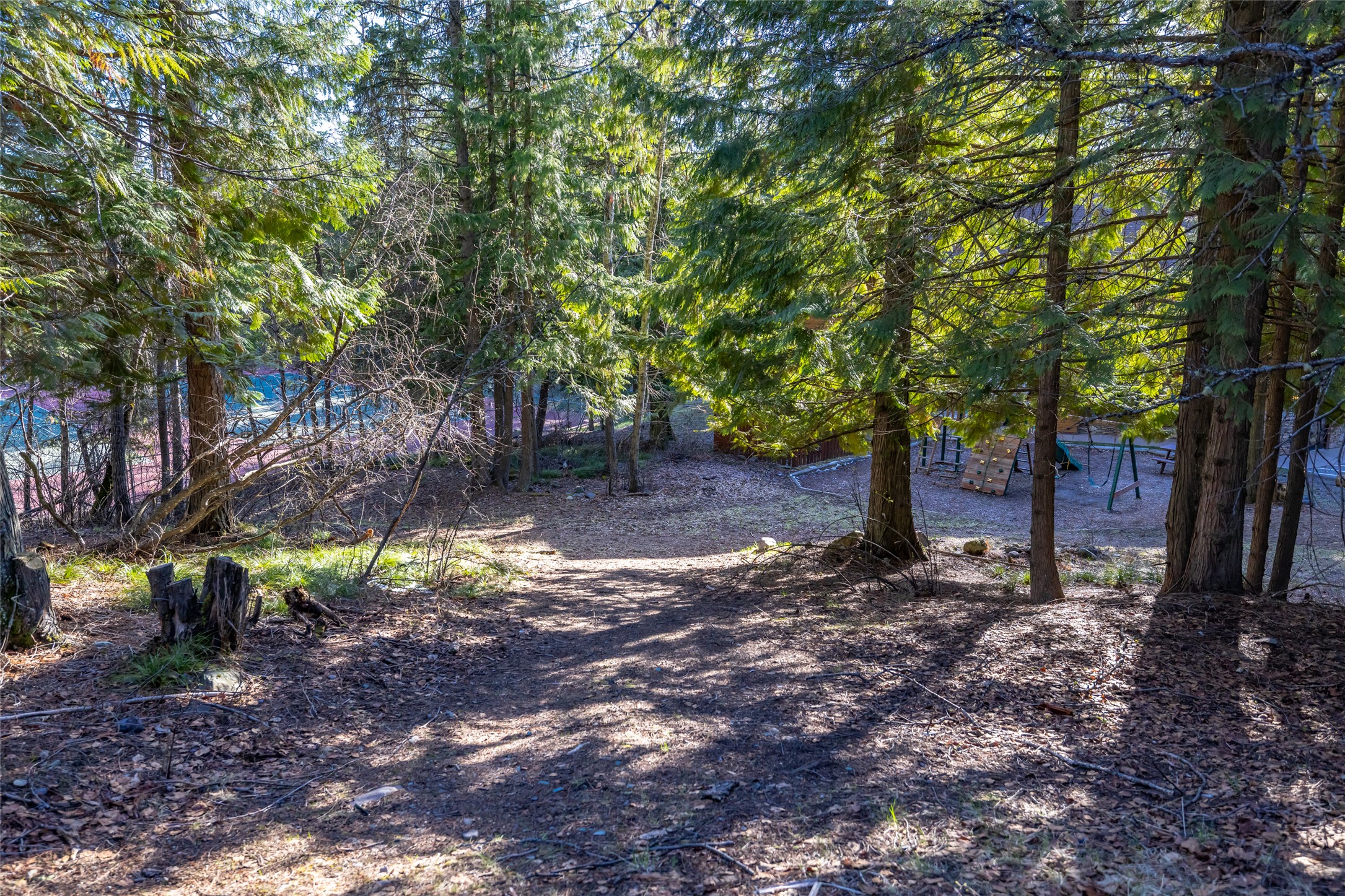 70 Limber Pine Property Photo 27
