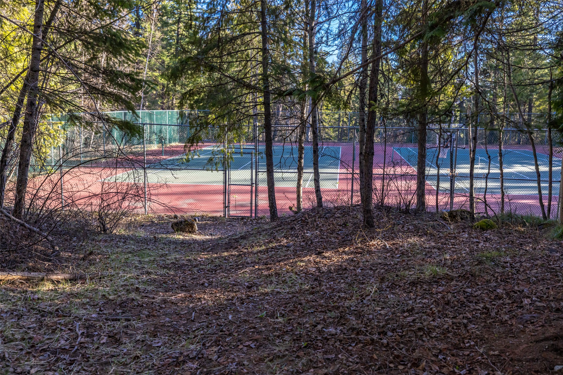 70 Limber Pine Property Photo 28