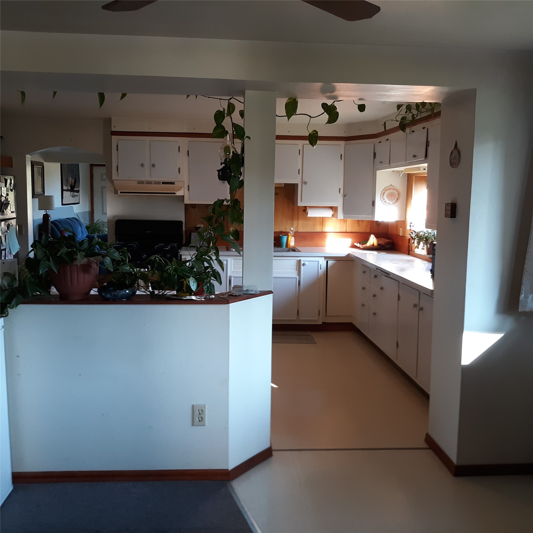 313 Dougherty Street Property Photo 28