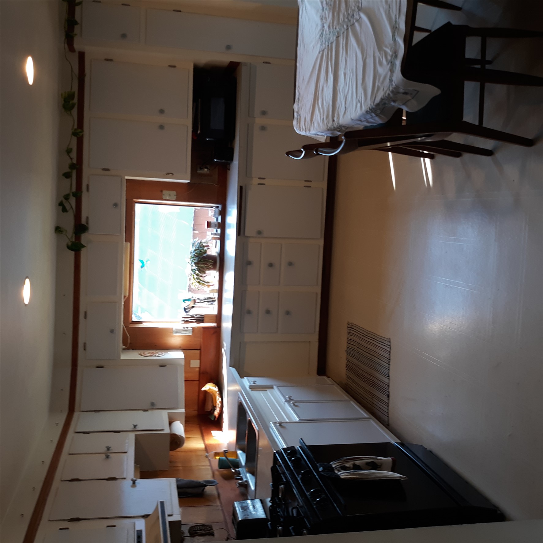 313 Dougherty Street Property Photo 34