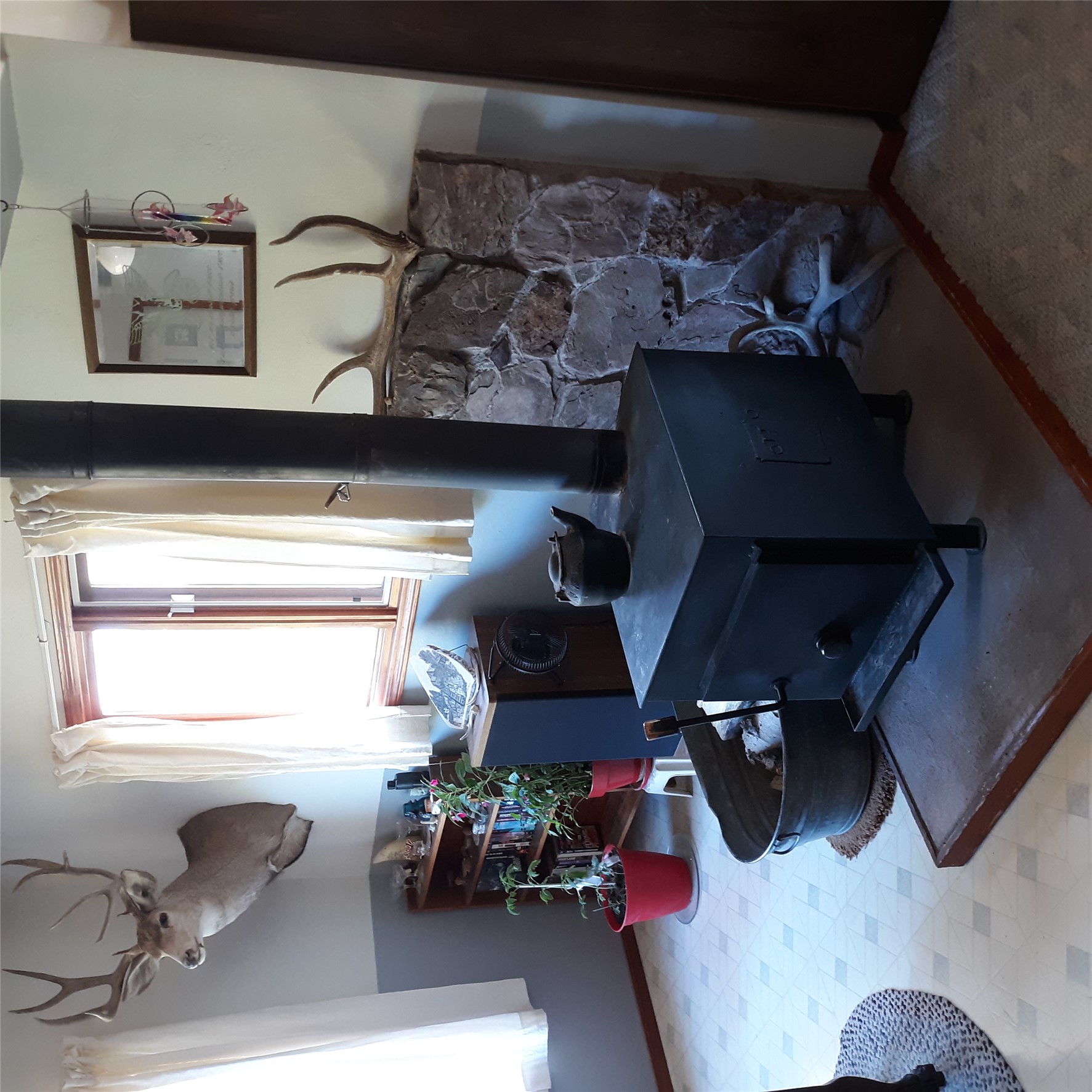 313 Dougherty Street Property Photo 35