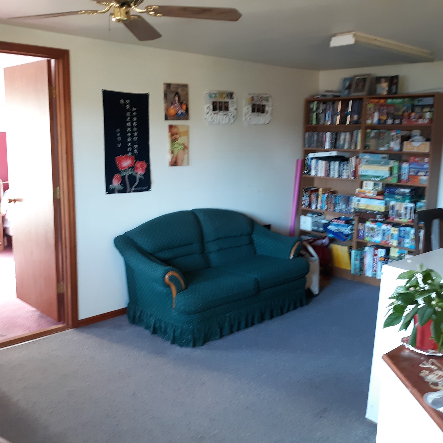 313 Dougherty Street Property Photo 40