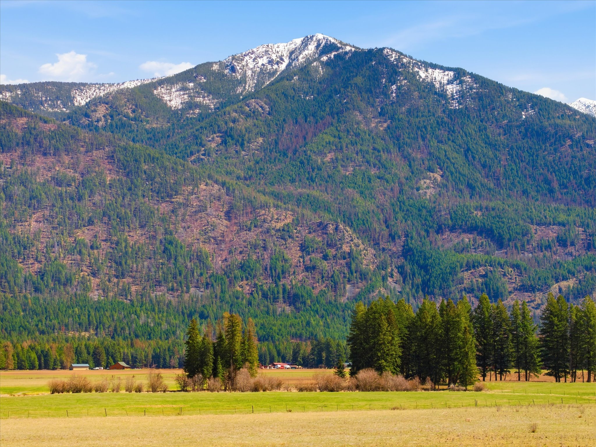 Nhn Misty Way Property Photo 19