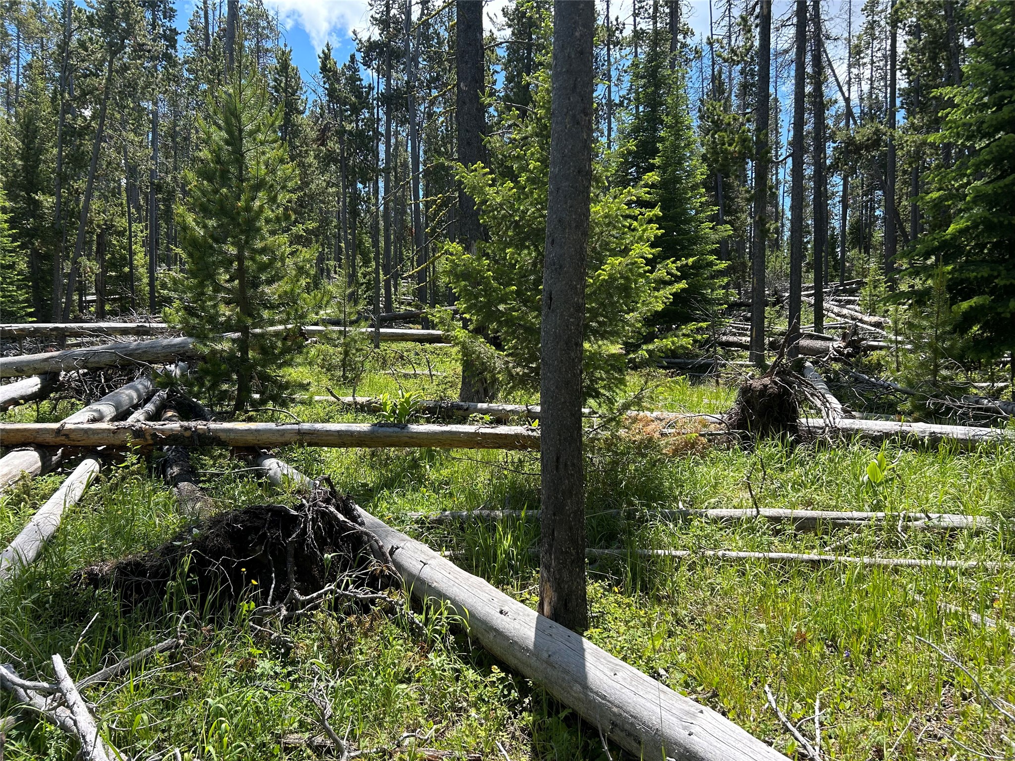 Nhn Spencer Property Photo 1
