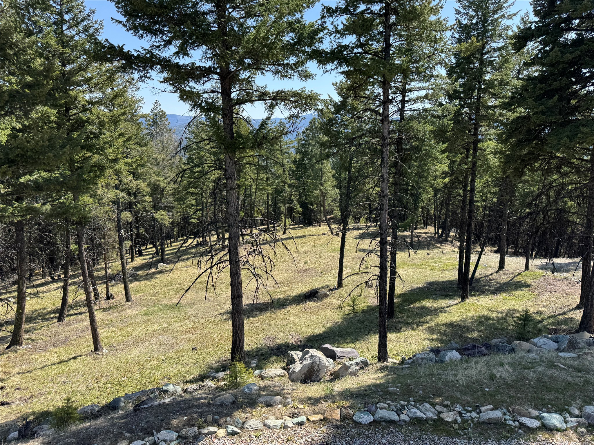 550 Jackson Meadows Road Property Photo 22