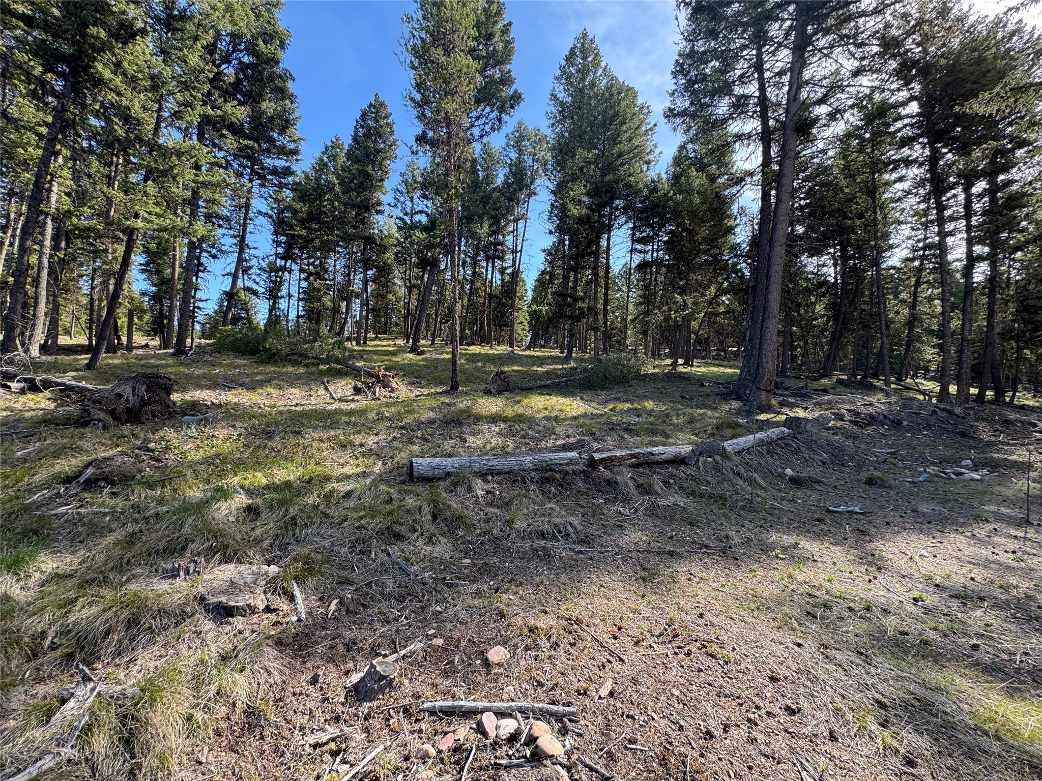 349 Seclusion Point Property Photo 1