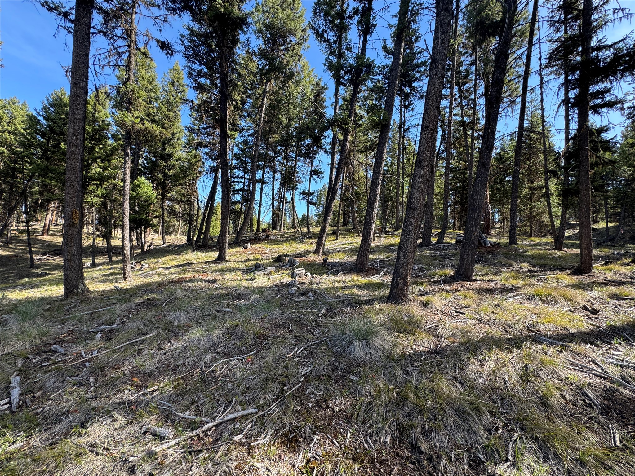 349 Seclusion Point Property Photo 5