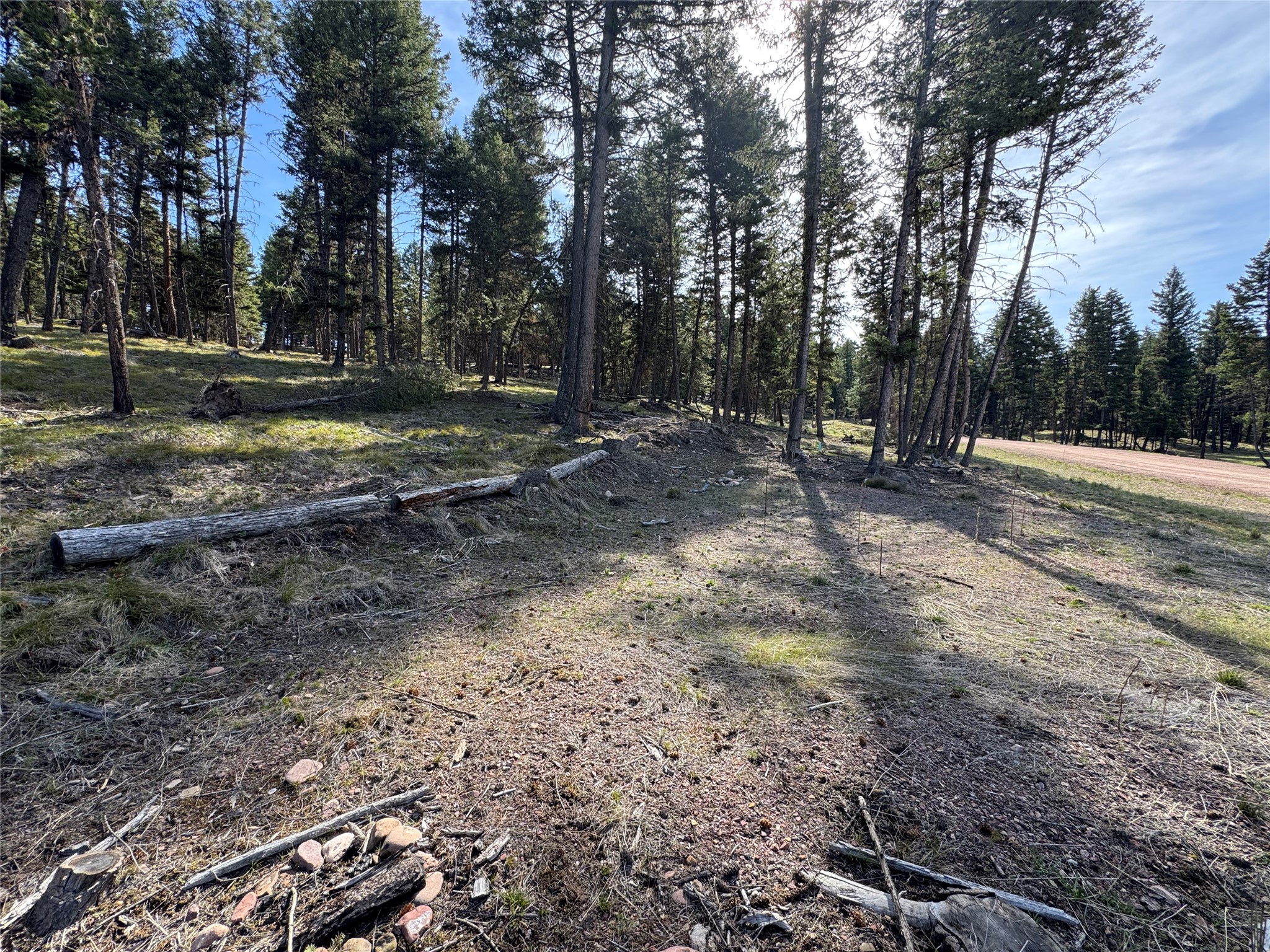 349 Seclusion Point Property Photo 6