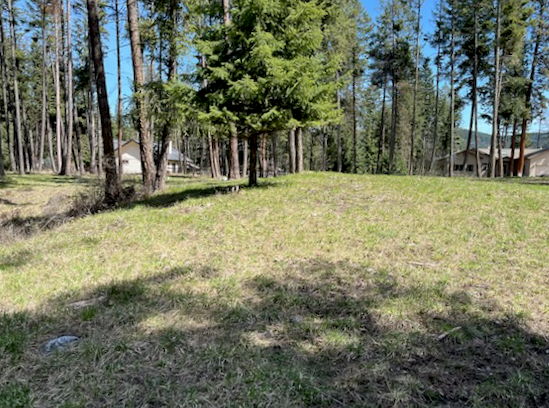 13962 Pine Street Property Photo 4