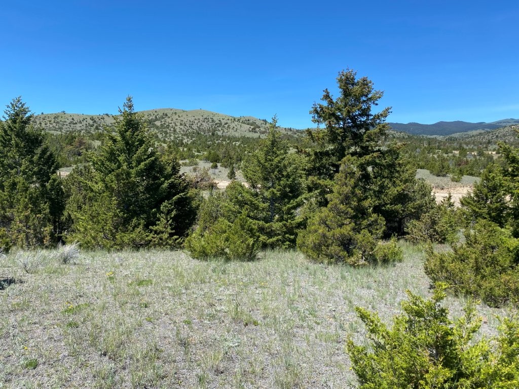 17 Keating Gulch Road Property Photo 1