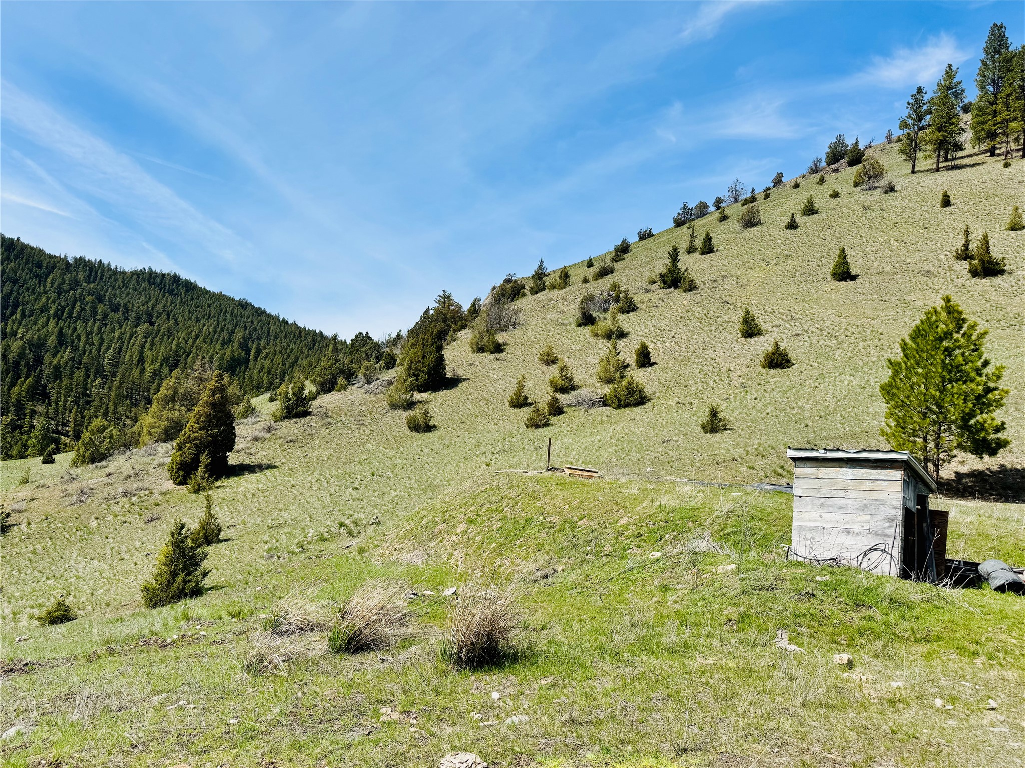 31 Packer Gulch Road Property Photo 7