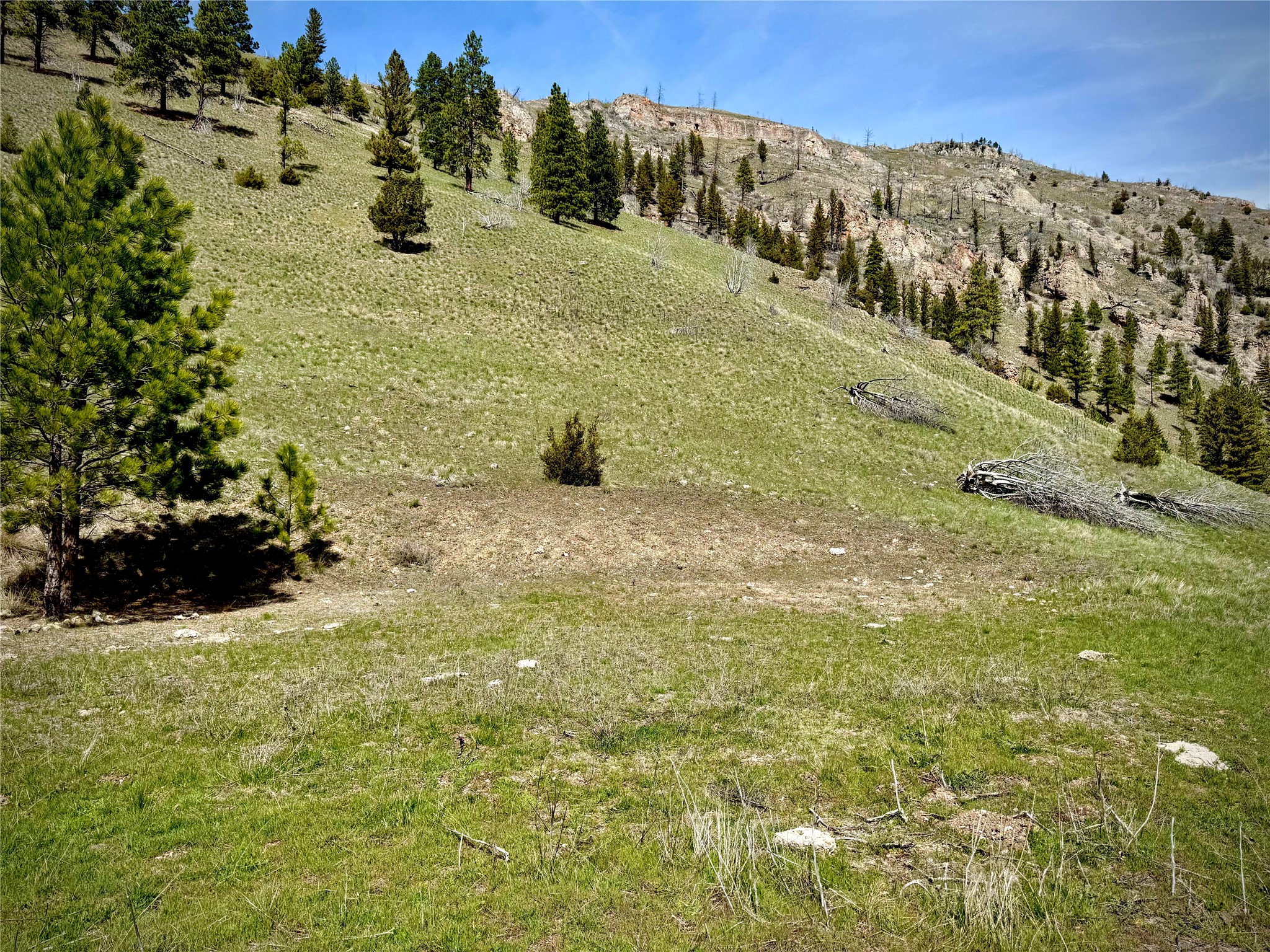 31 Packer Gulch Road Property Photo 9