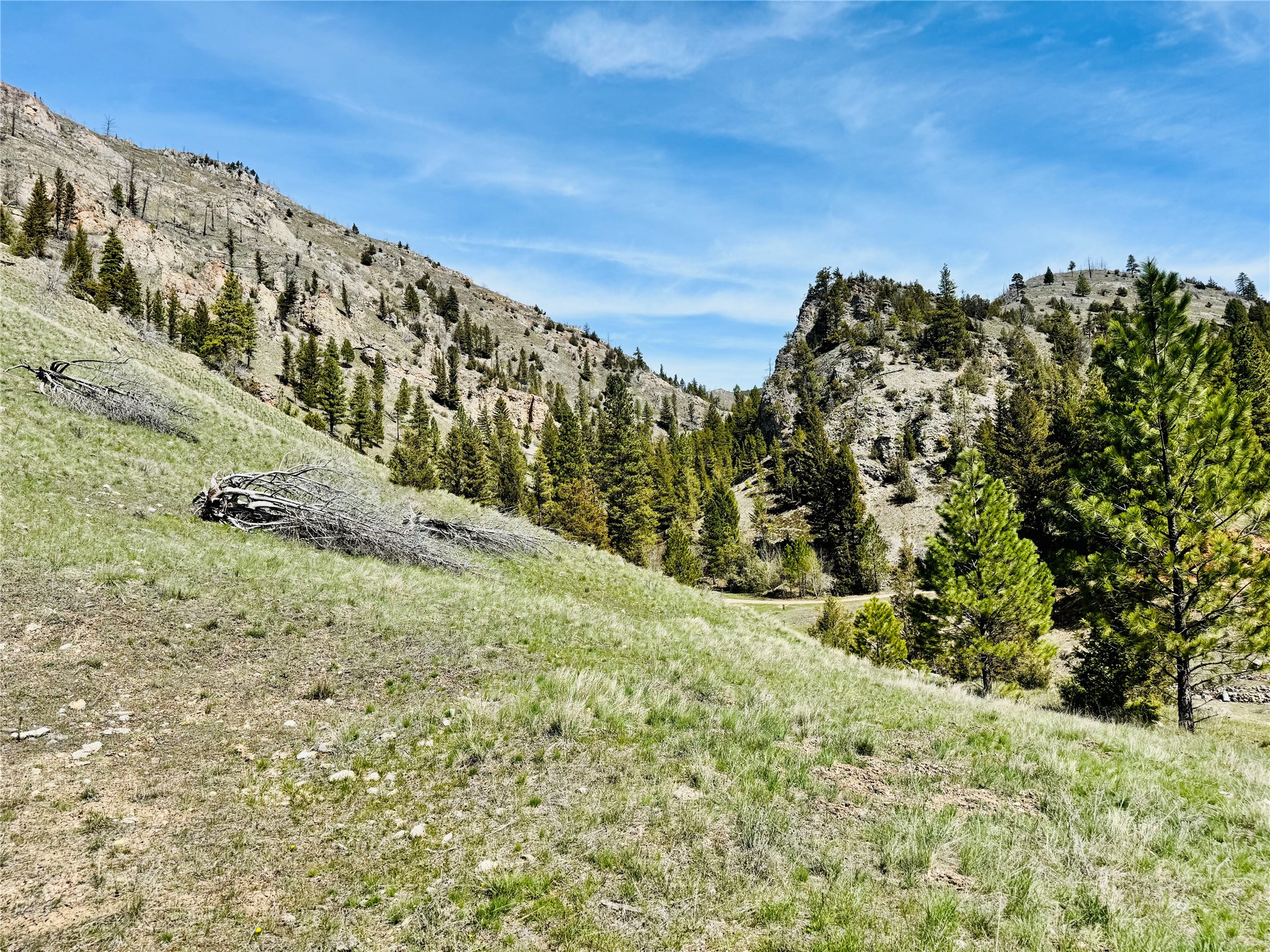 31 Packer Gulch Road Property Photo 10