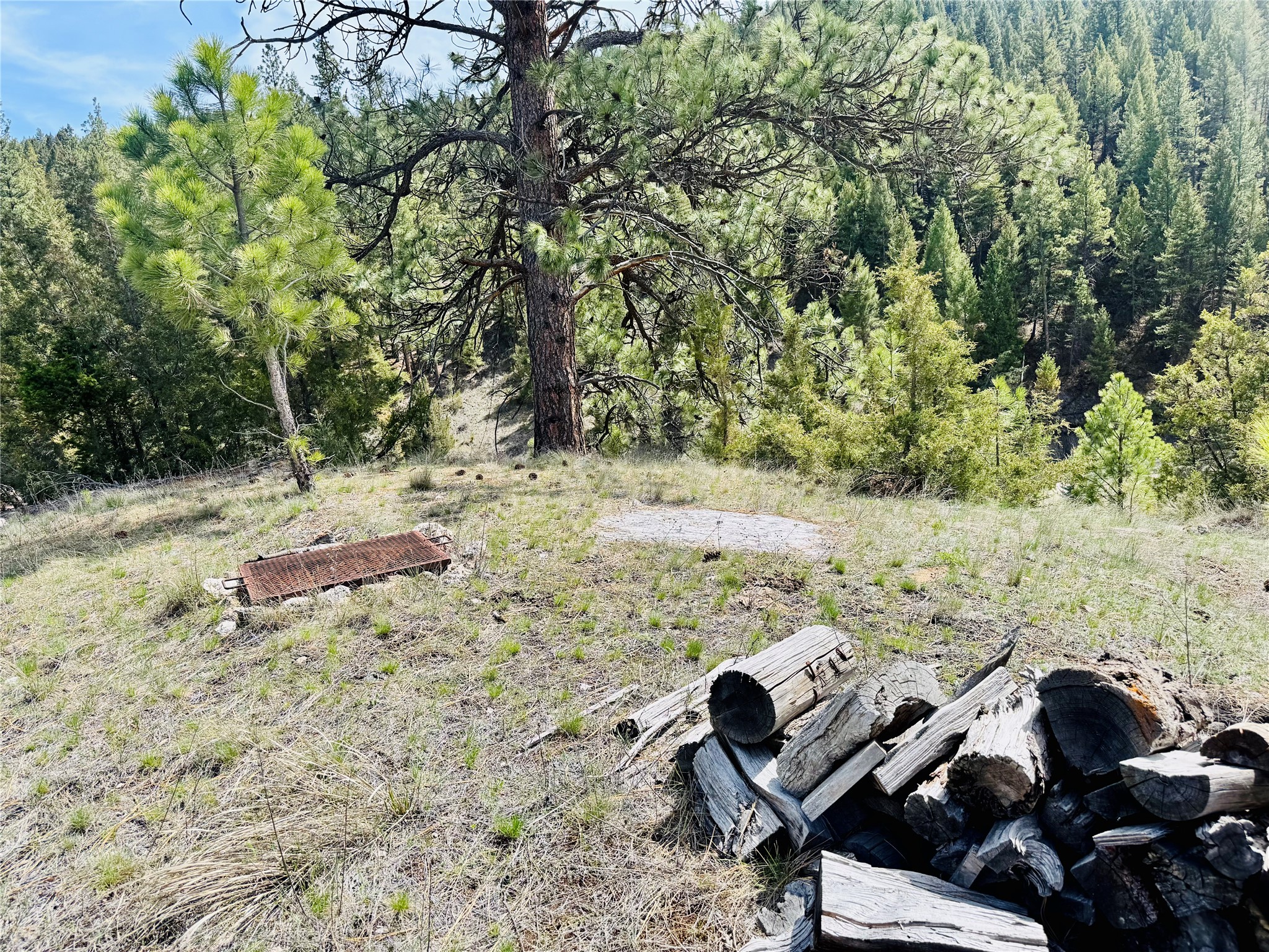 31 Packer Gulch Road Property Photo 11