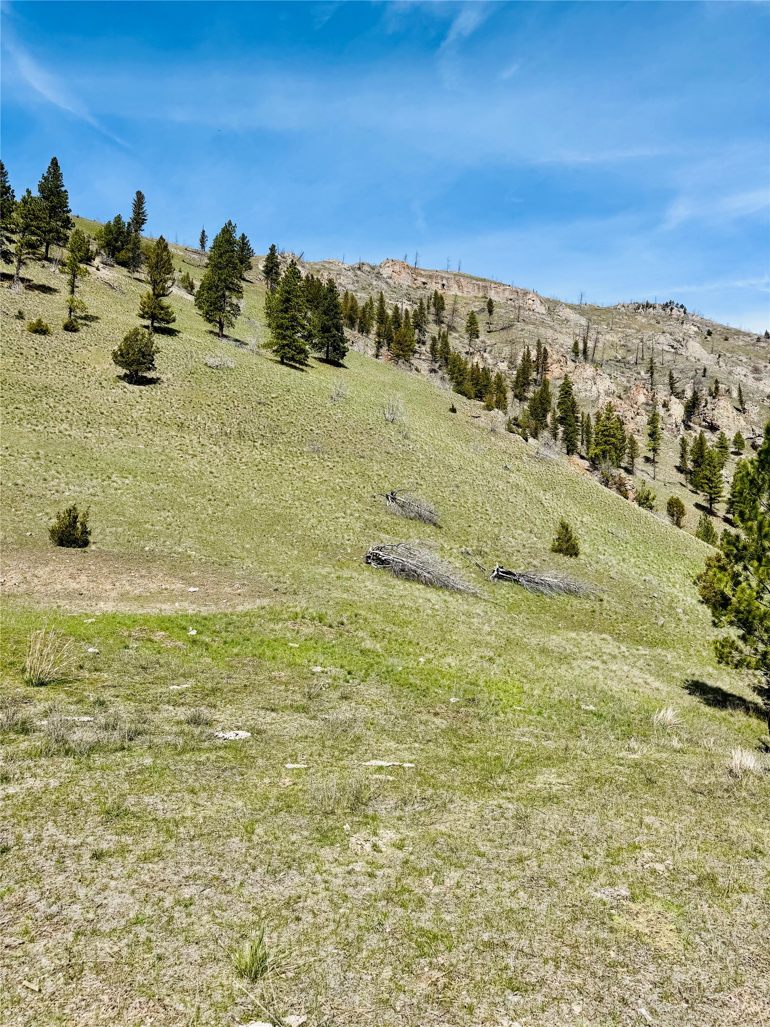 31 Packer Gulch Road Property Photo 13