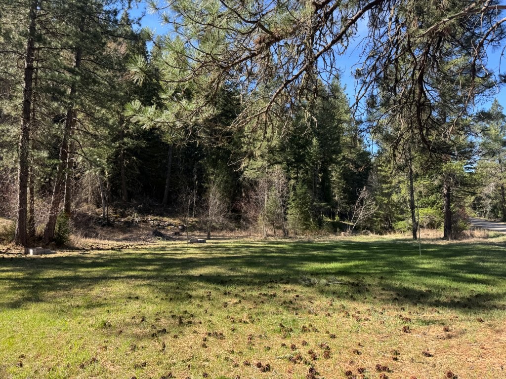 1036 Rock Creek Road Property Photo 23
