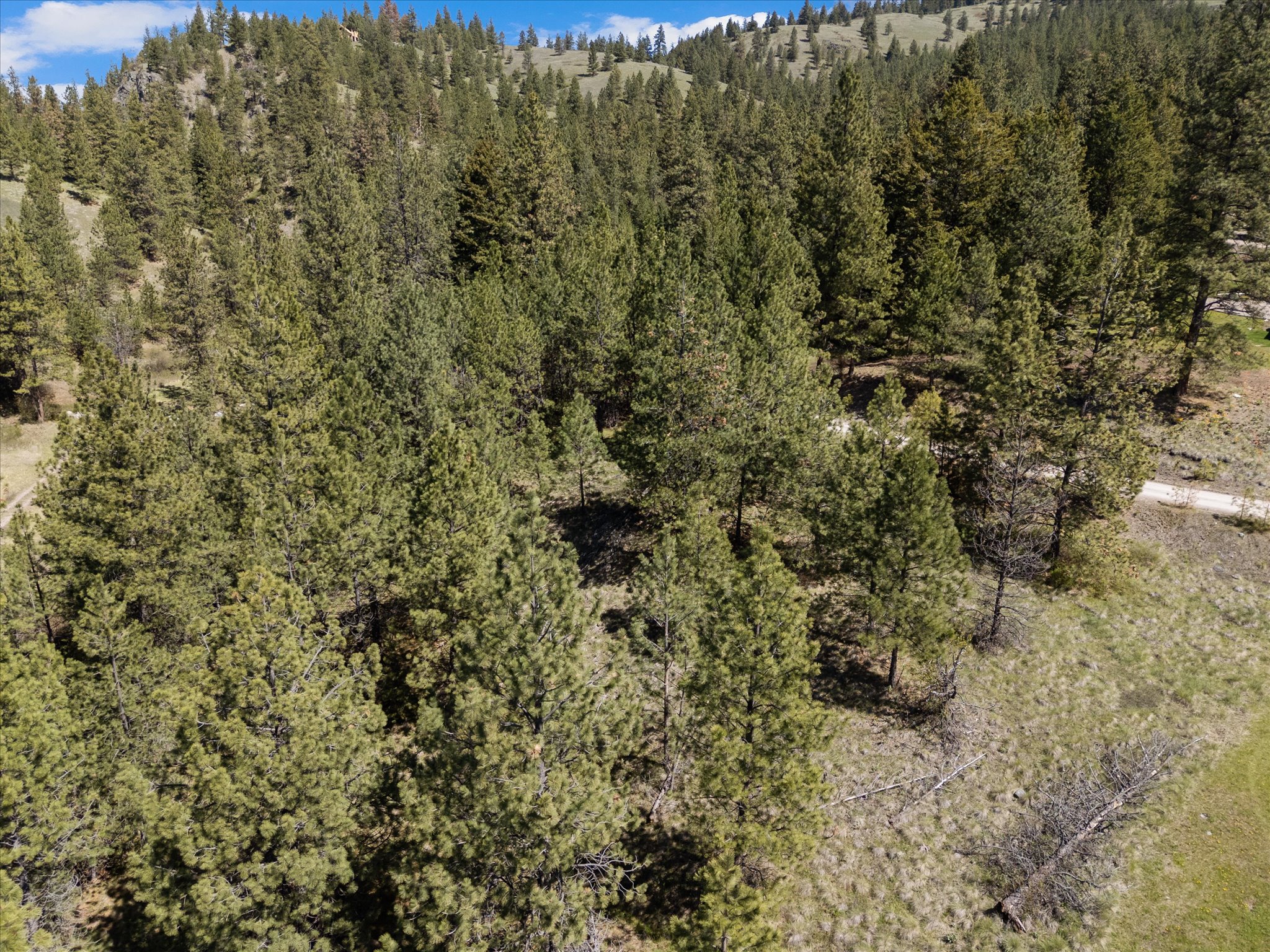 31009 Canyon View Place Property Photo 4
