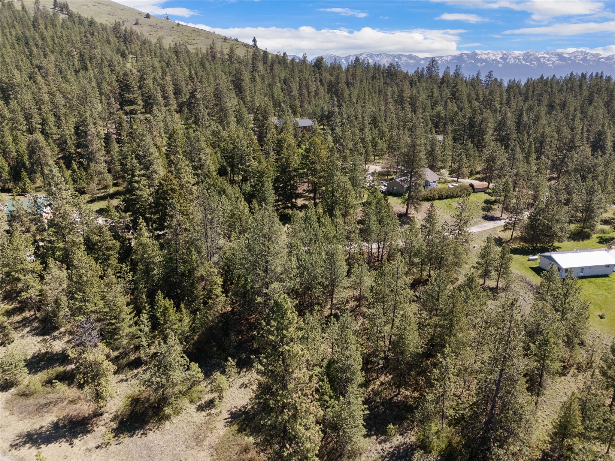 31009 Canyon View Place Property Photo 7