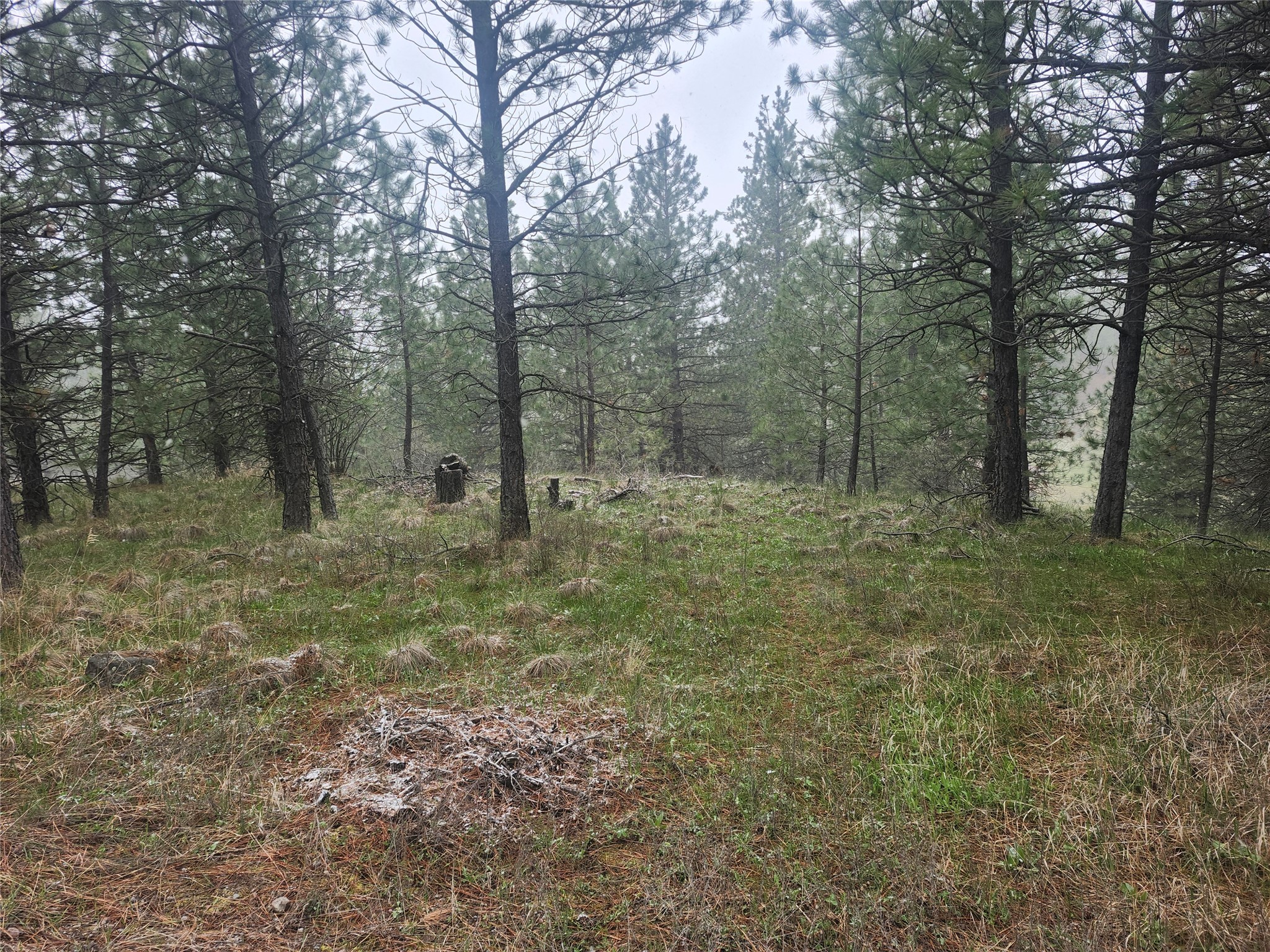 31009 Canyon View Place Property Photo 18