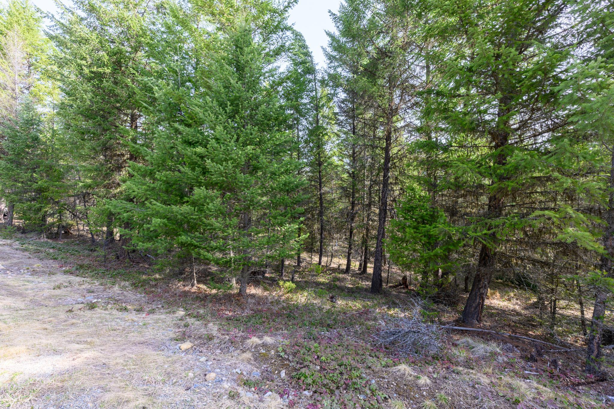 746 Evergreen Drive Property Photo 11