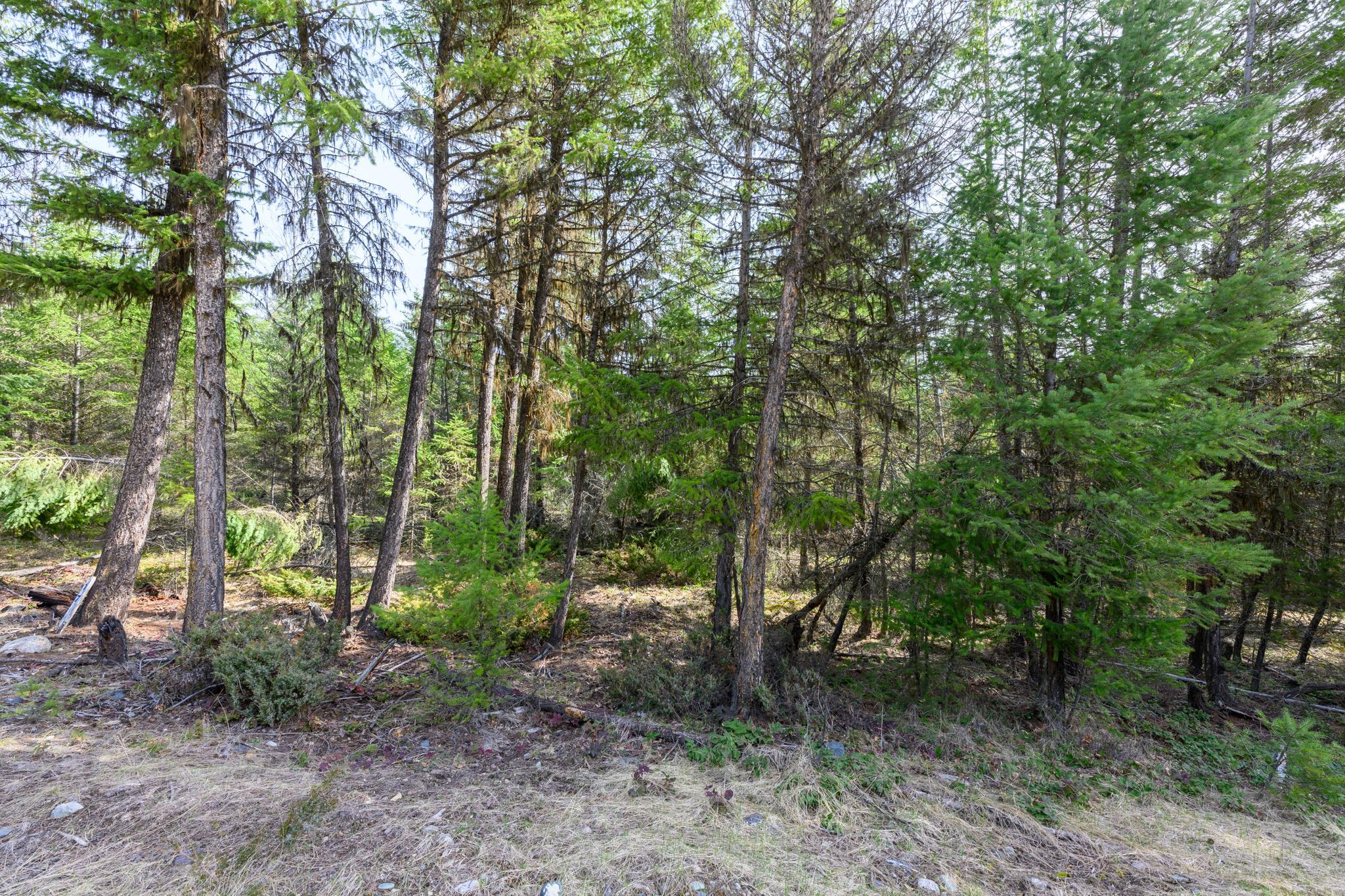 746 Evergreen Drive Property Photo 12