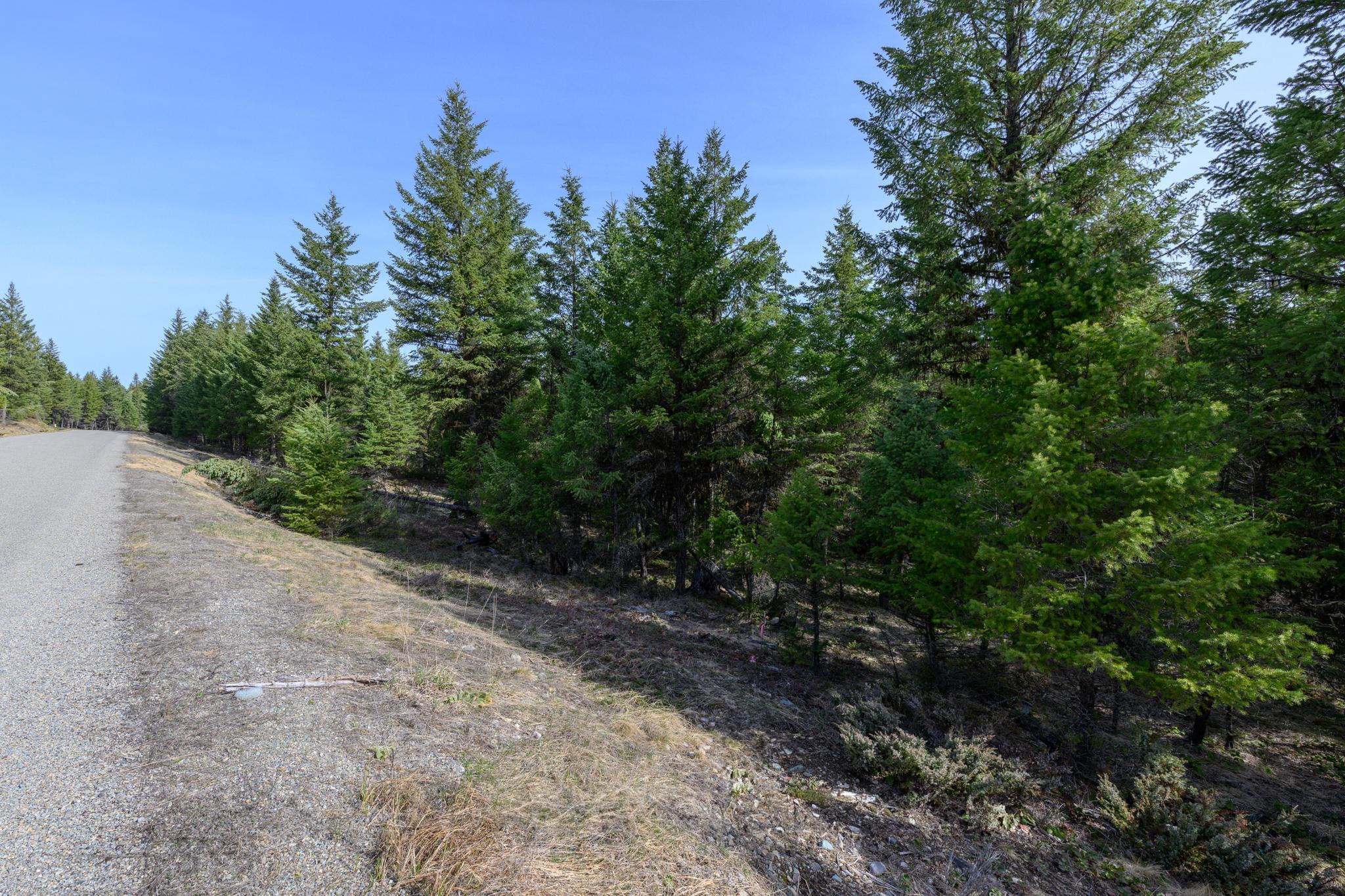 746 Evergreen Drive Property Photo 19