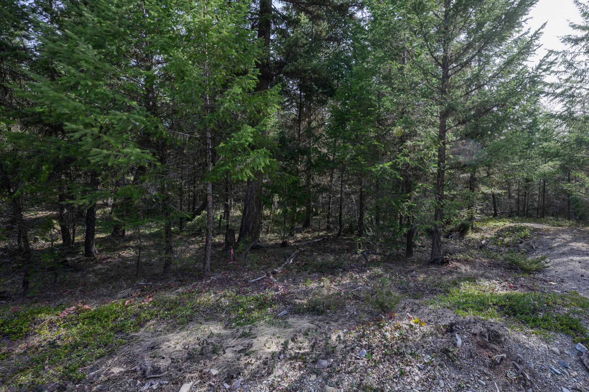 746 Evergreen Drive Property Photo 20