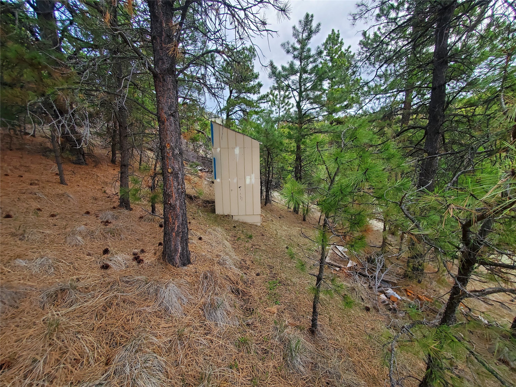 87 Hideaway Lane Property Photo 12