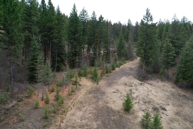Tbd Bent Pine Lane Property Photo 2
