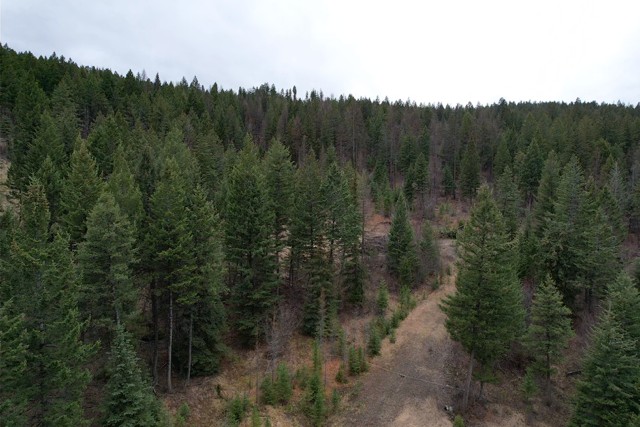 Tbd Bent Pine Lane Property Photo 3