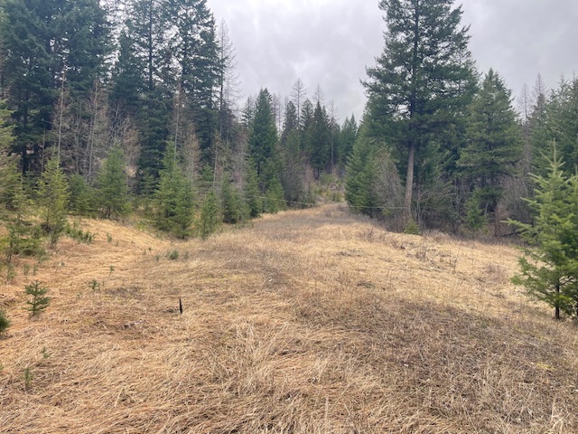 Tbd Bent Pine Lane Property Photo 4