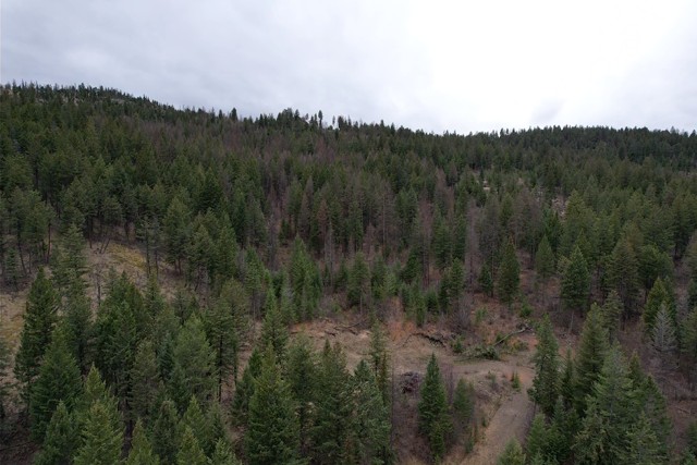 Tbd Bent Pine Lane Property Photo 5
