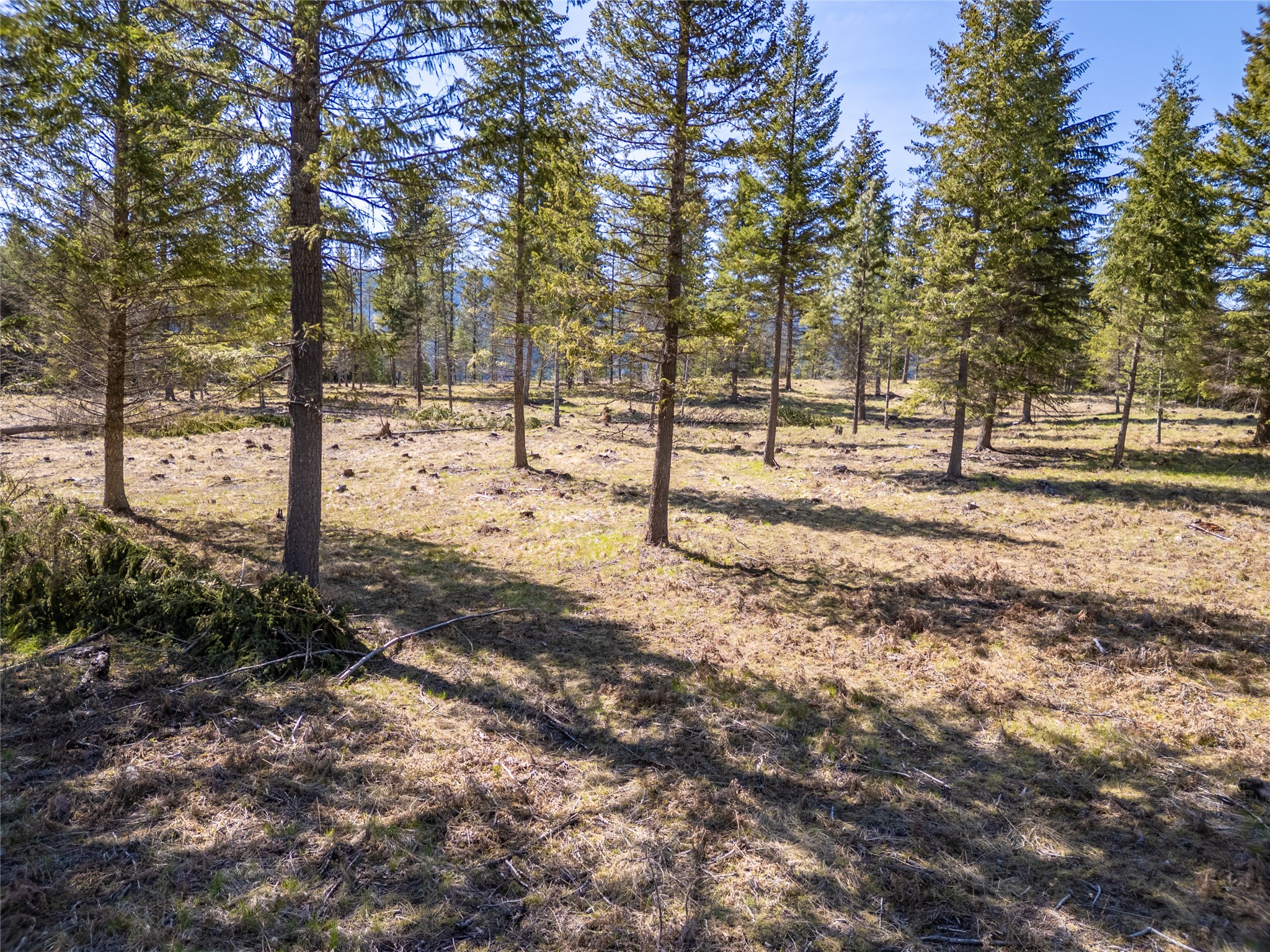 508 Chase Cutoff Road Property Photo 43