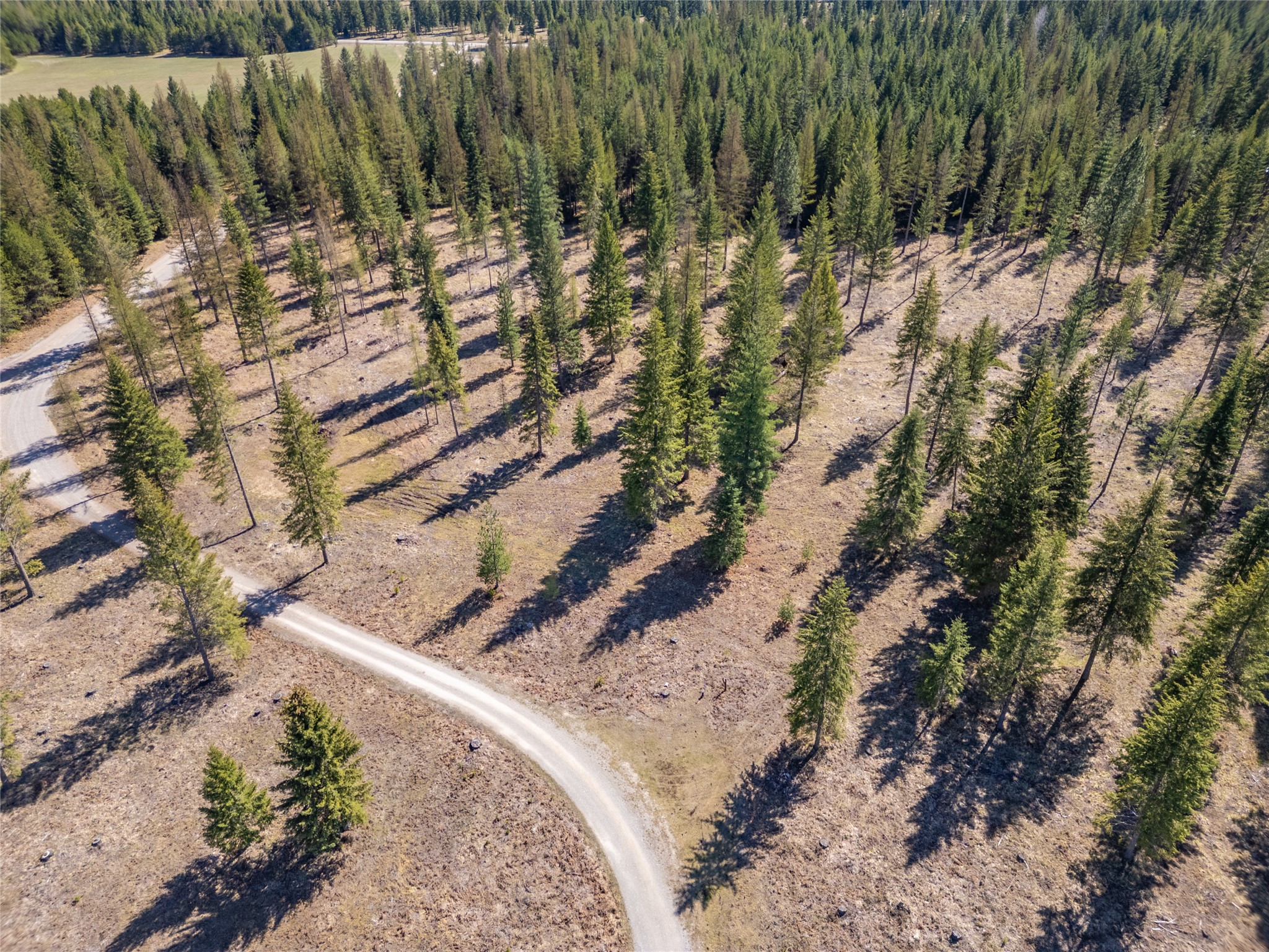 508 Chase Cutoff Road Property Photo 49