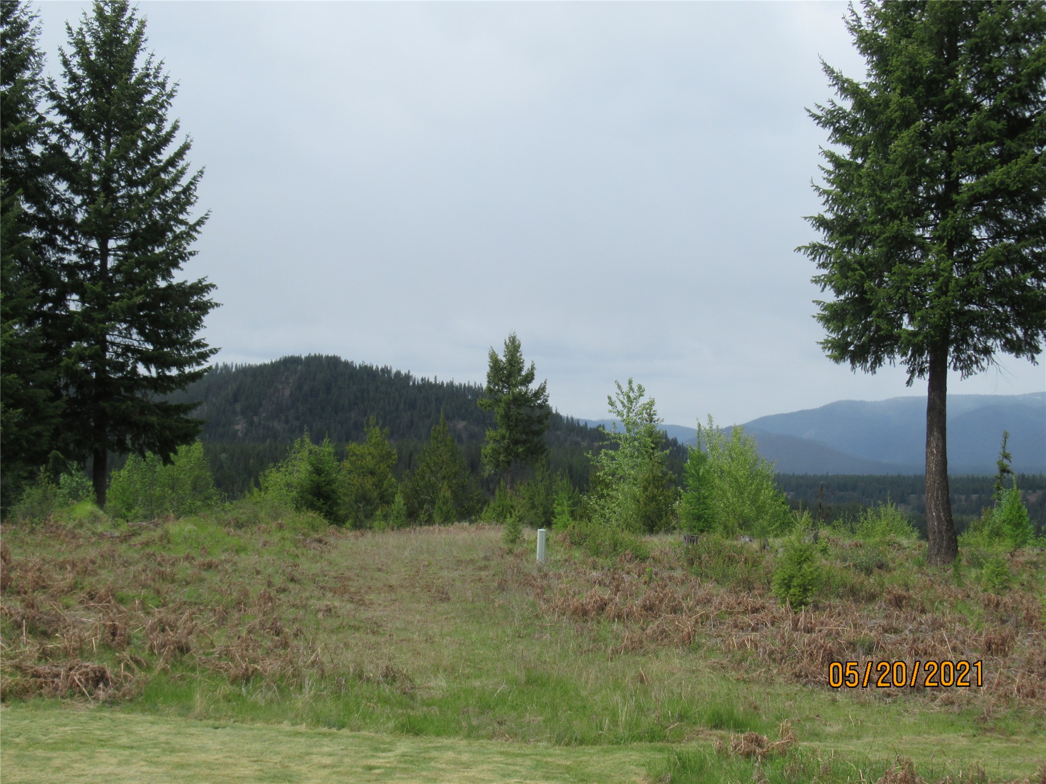 508 Chase Cutoff Road Property Photo 50