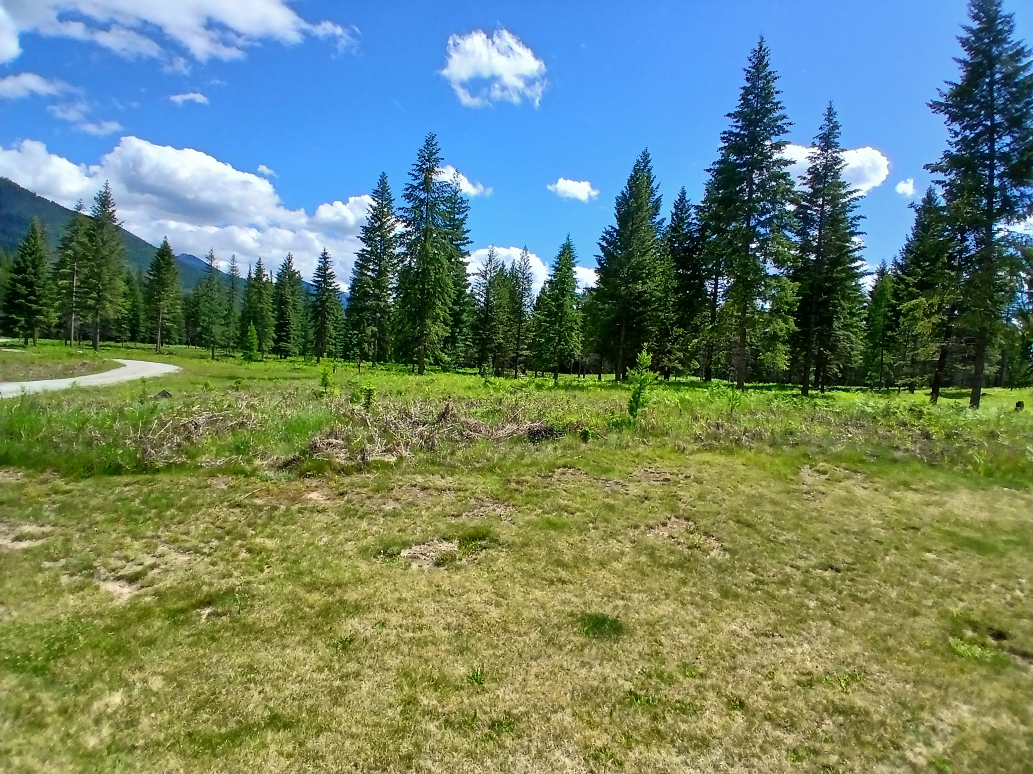 508 Chase Cutoff Road Property Photo 55