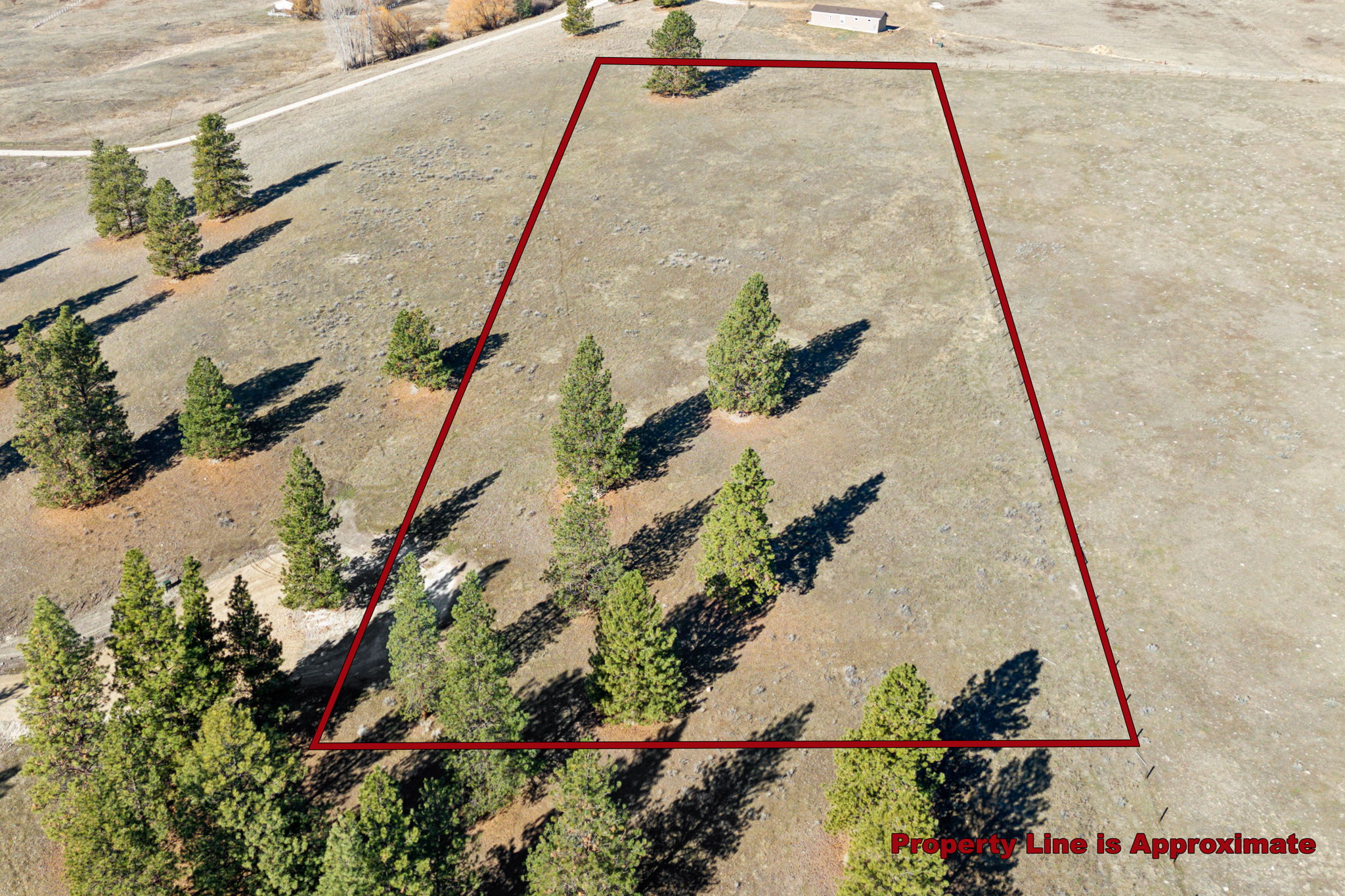 535 Sadie Way Property Photo 10