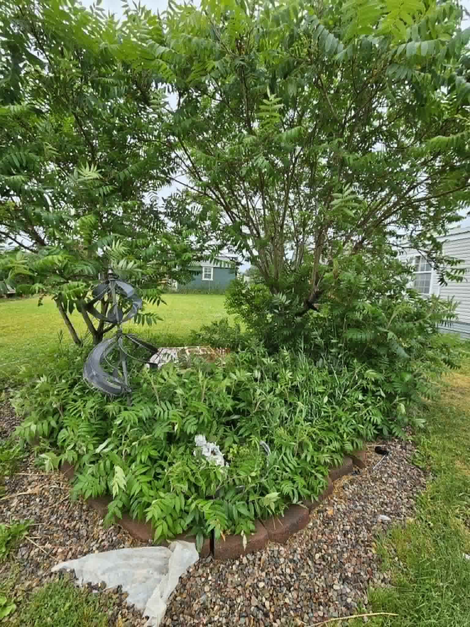 4628 Bailey Street Property Photo 5